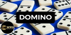 Domino - Khái niệm và các biển thể 