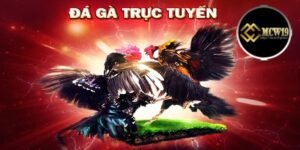 Đá gà trực tuyến - Khái niệm